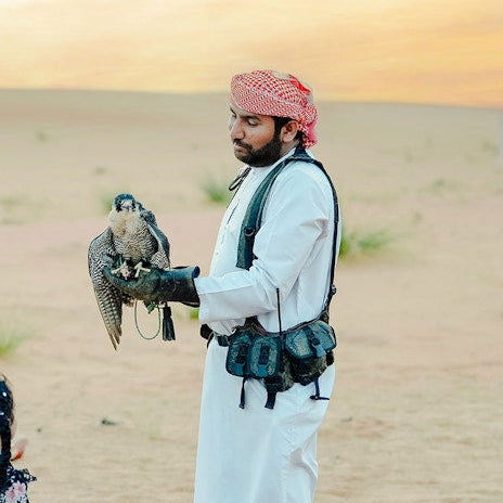 Luxury Heritage Evening Desert Safari