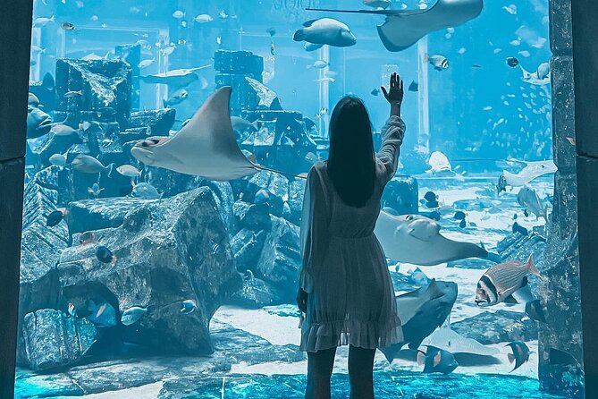 Dubai Aquarium & Underwater Zoo + Aquaventure Waterpark 1 Day Pass