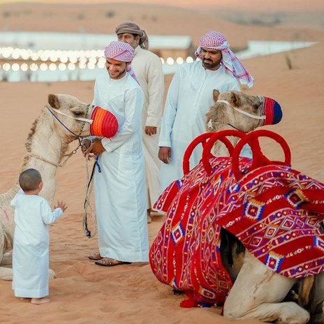 Luxury Heritage Evening Desert Safari