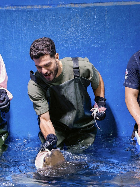 Dubai Aquarium & Underwater Zoo Tickets