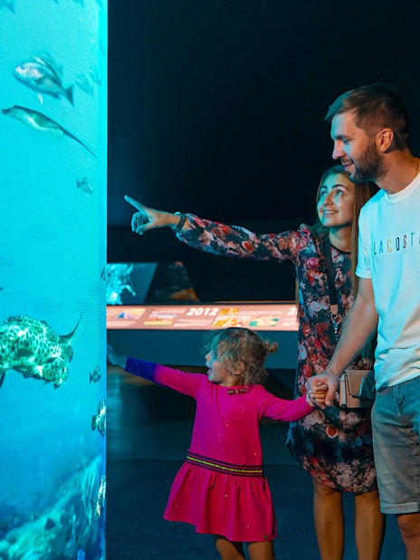 View At The Palm + Dubai Aquarium & Underwater Zoo Tickets