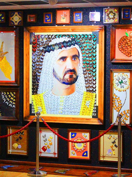 Dubai Butterfly Garden Skip-the-Line Tickets - DXB Attractions