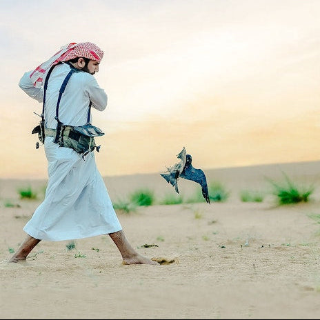 Luxury Heritage Evening Desert Safari