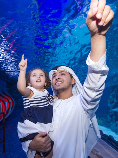 Dubai Frame Tickets + Dubai Aquarium & Underwater Zoo Tickets