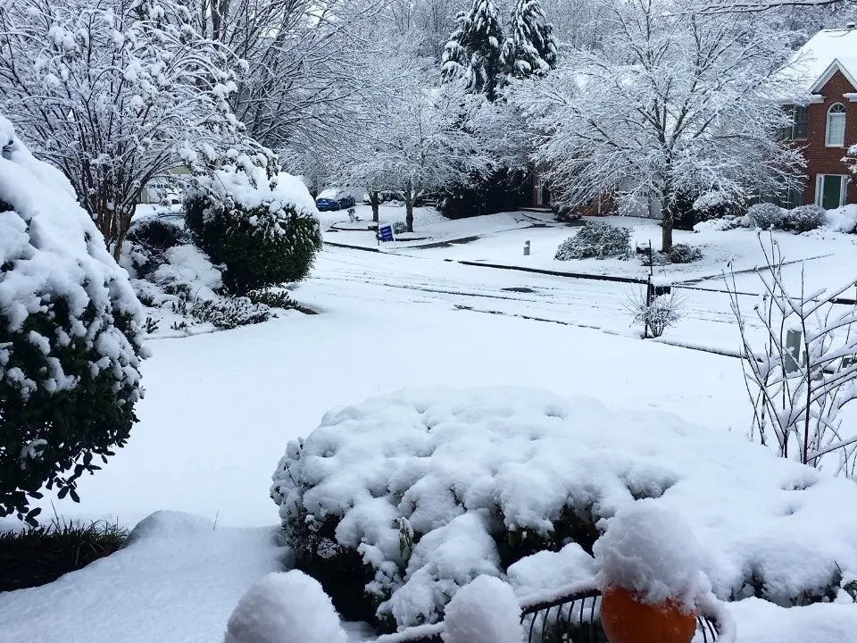 Georgia: A Land of Discovery & Explore the Georgia Tour