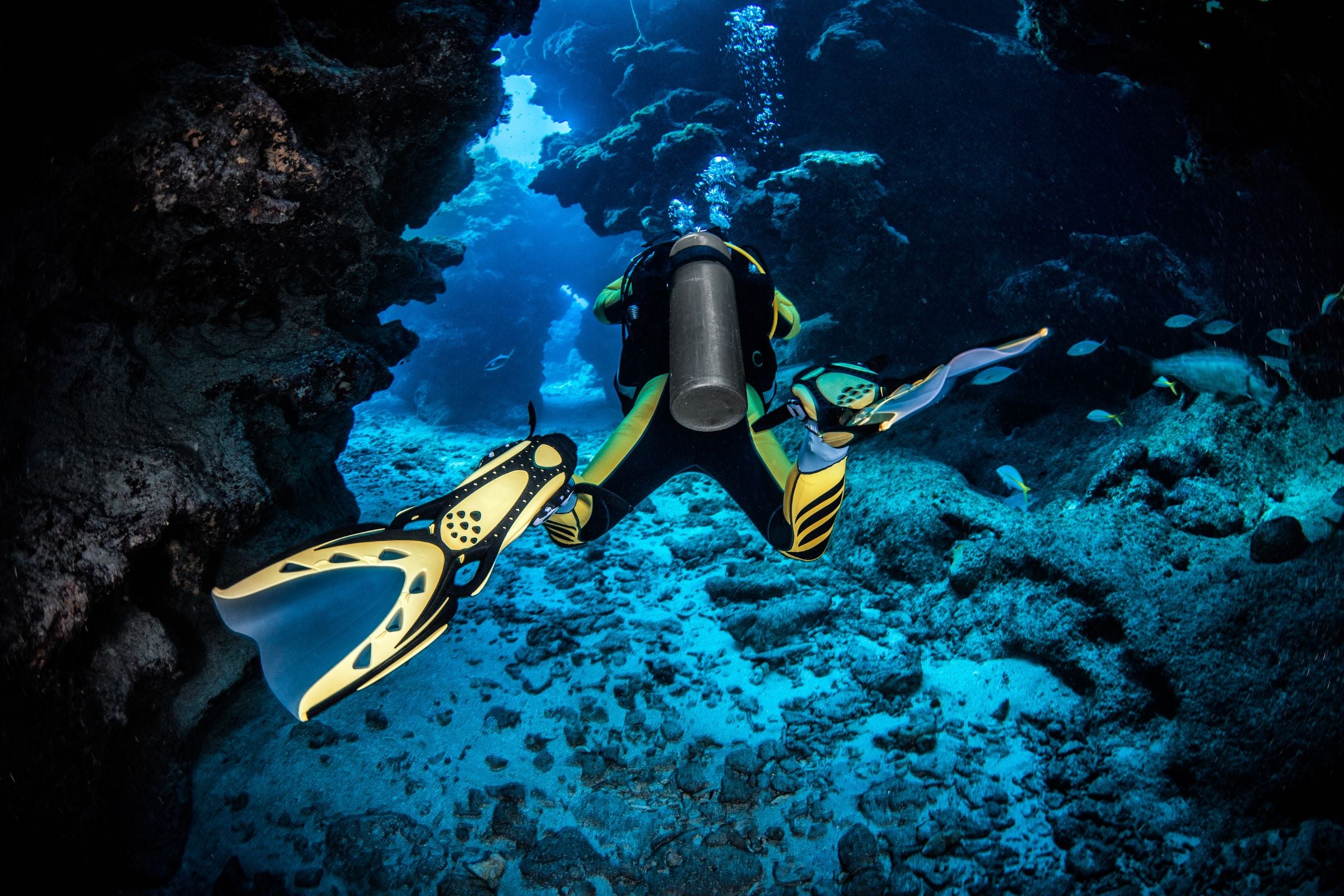 Premium Discover Scuba Dive up to 12 meters