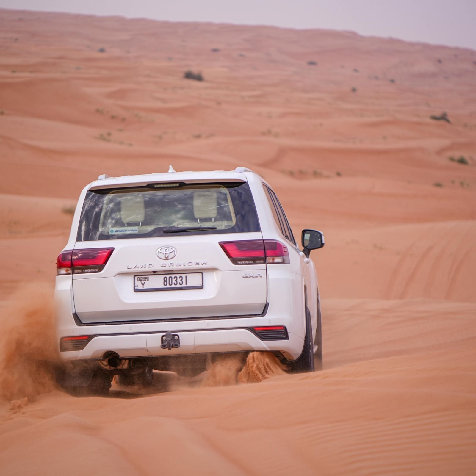 Desert Safari Evening