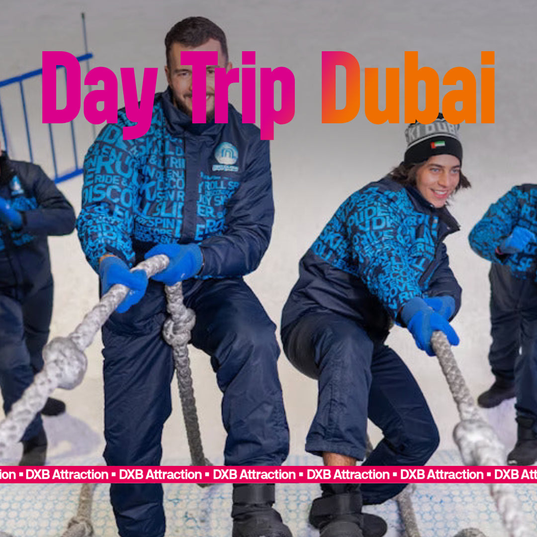 Adventure Explore Trips