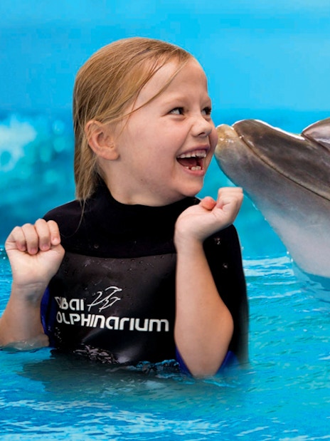 Dubai Dolphinarium Tickets: Swim With Dolphins + Free Seal &amp; Dolphin Show VIP Seating