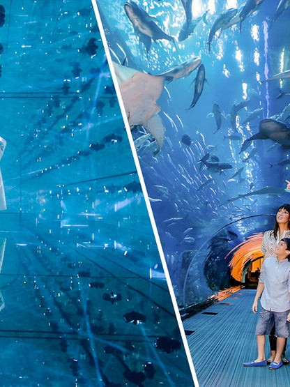 AYA Universe + Dubai Aquarium &amp; Underwater Zoo Tickets