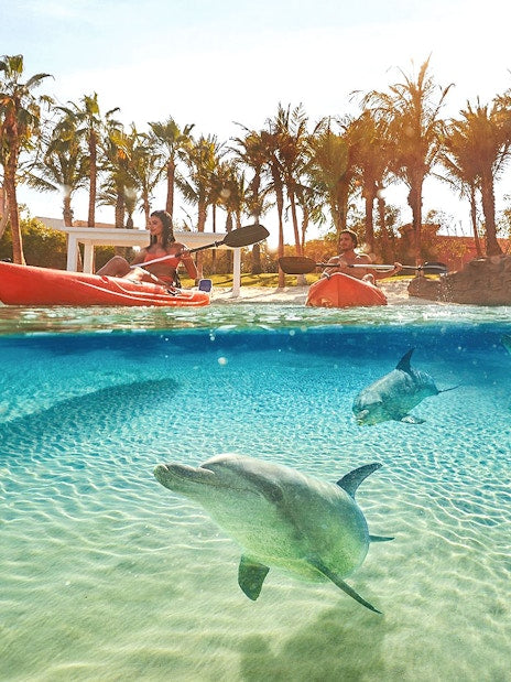 Atlantis The Palm Dolphin Kayak or Paddle Tickets