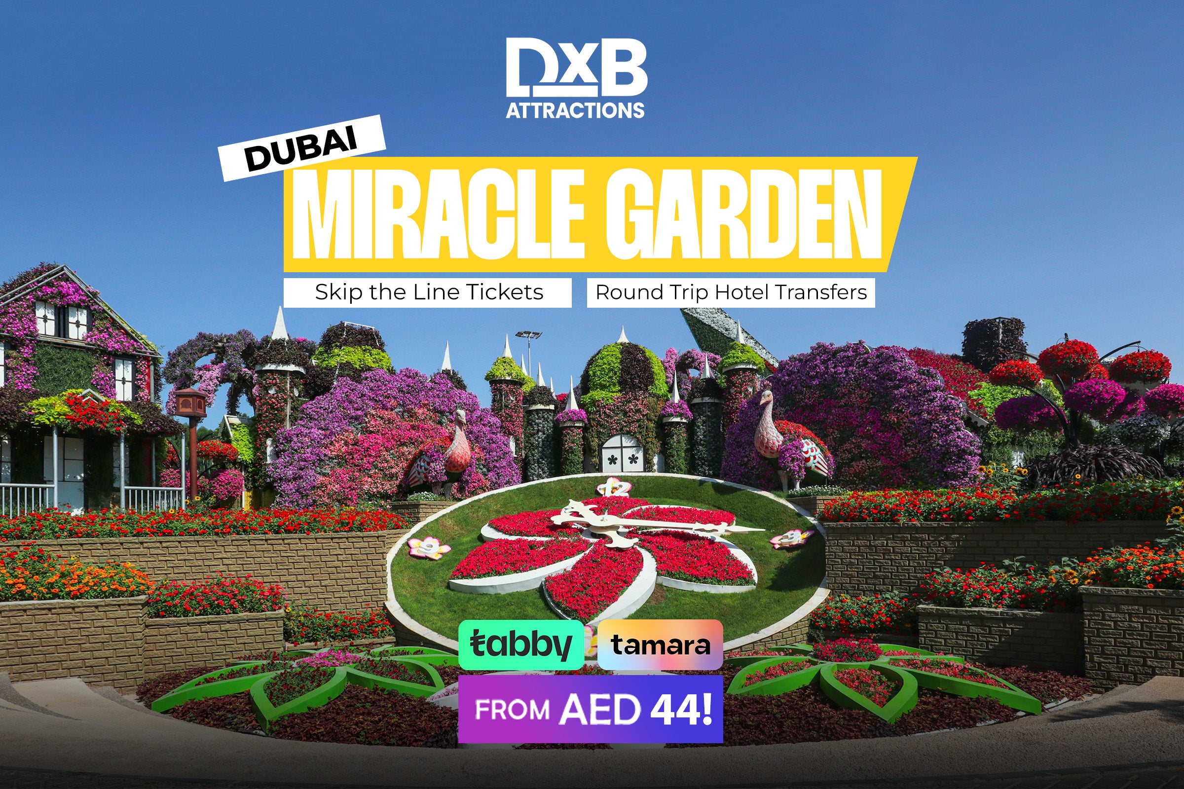 Dubai Miracle Garden Skip-the-Line Tickets with Round-Trip Hotel Transfers