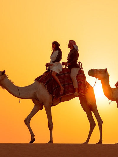 Ultra Luxury Desert Safari, Wildlife Tour & Fine Dining