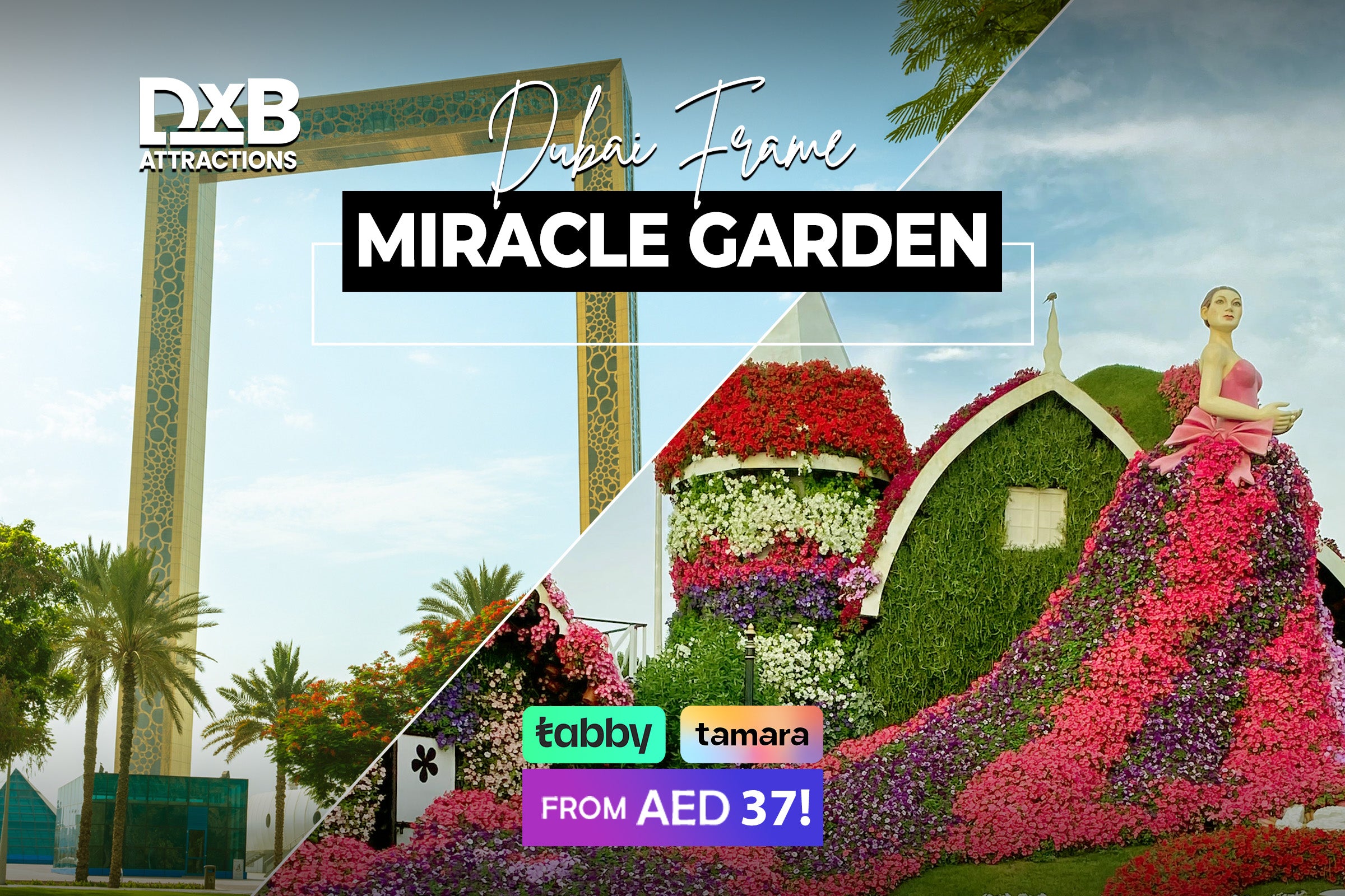 Dubai Frame + Miracle Garden Tickets