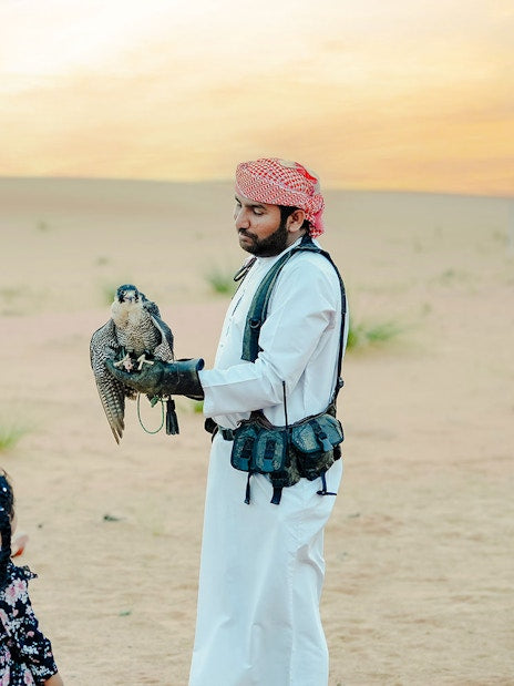 Luxury Heritage Evening Desert Safari