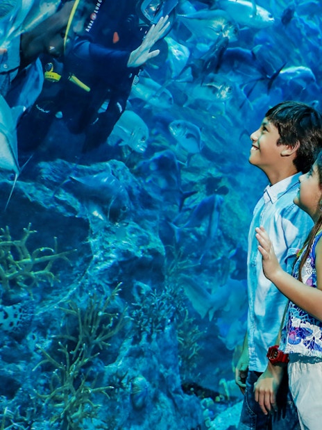 Dubai Aquarium + Green Planet