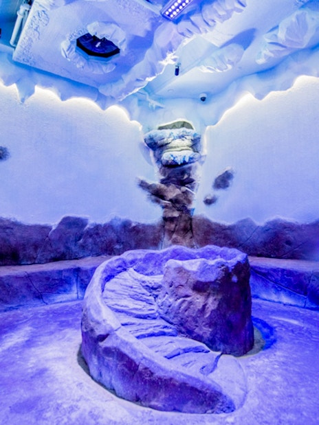 Dubai Aquarium &amp; Underwater Zoo with Penguin Cove Tickets