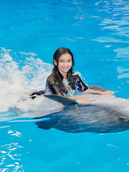 Dubai Dolphinarium Tickets: Swim With Dolphins + Free Seal &amp; Dolphin Show VIP Seating