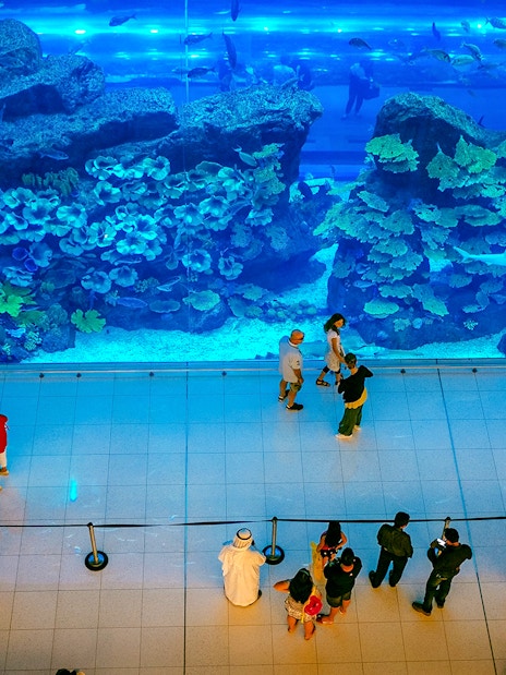 Dubai Aquarium + Sky Views Observatory Tickets