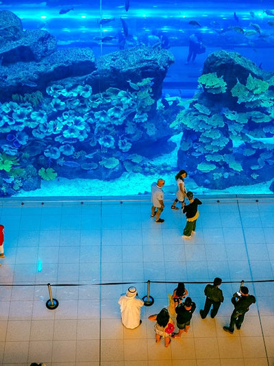 Dubai Aquarium & Underwater Zoo Tickets