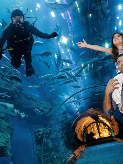 LEGOLAND® Water Park + Dubai Aquarium and Underwater Zoo Tickets