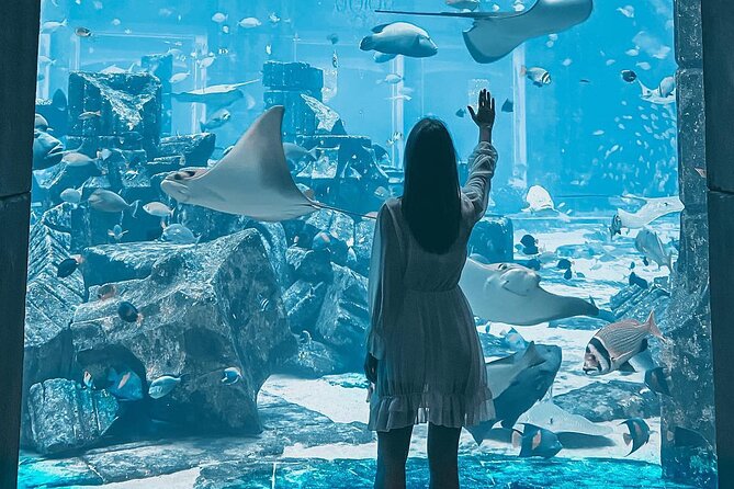 Dubai Aquarium & Underwater Zoo + Aquaventure Waterpark 1 Day Pass