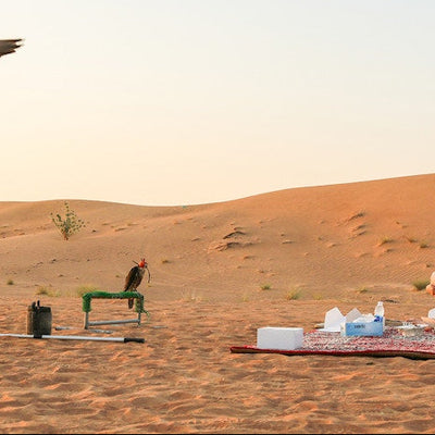 Sunrise Desert Safari with Picnic Breakfast