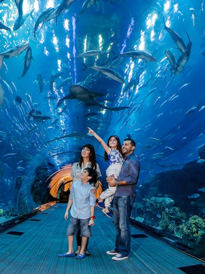 Burj Khalifa + Dubai Frame + Dubai Aquarium &amp; Underwater Zoo Tickets