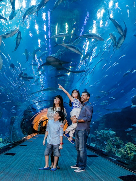 Burj Khalifa + Dubai Frame + Dubai Aquarium & Underwater Zoo Tickets