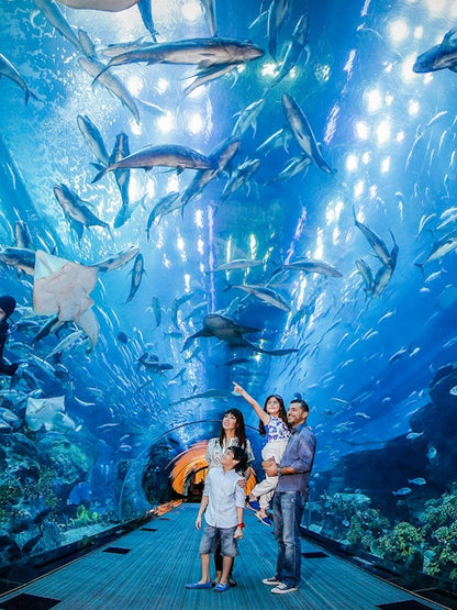 Go City Dubai Explorer Pass: Choose 3 to 7 Attractions