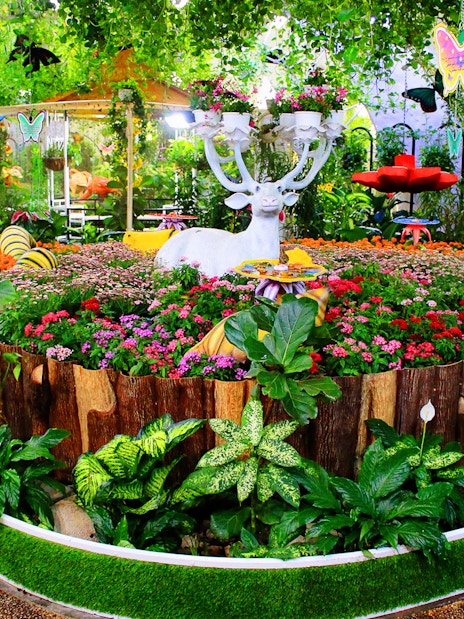 Miracle Garden Visit - Dubai