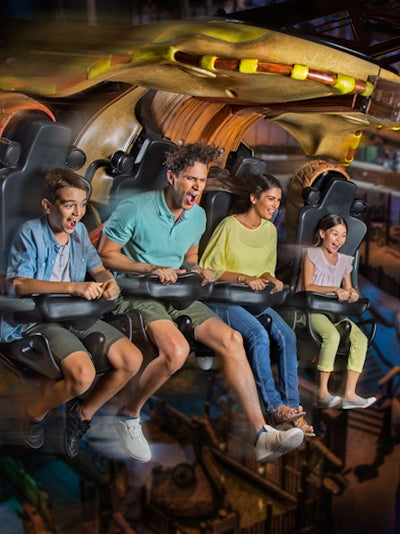 MOTIONGATE™ Dubai Tickets 1 Day Pass