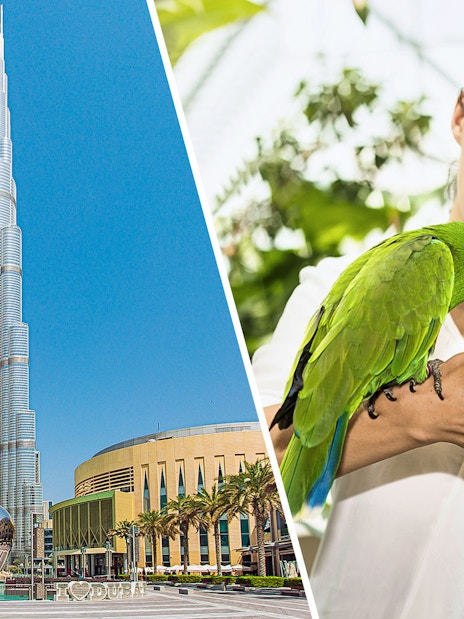 Burj Khalifa At the Top + Green Planet Tickets