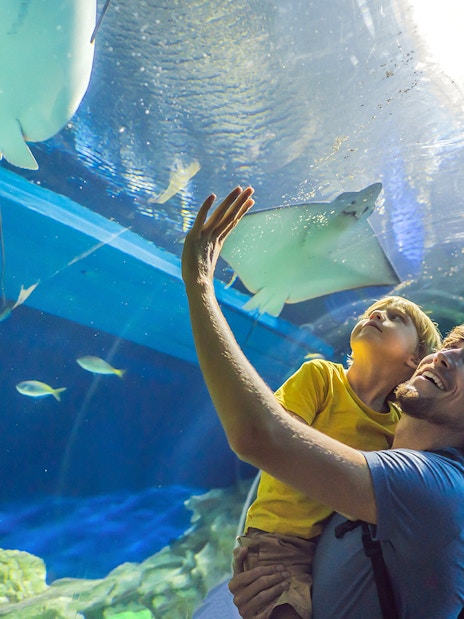 Dubai Aquarium &amp; Underwater Zoo Tickets