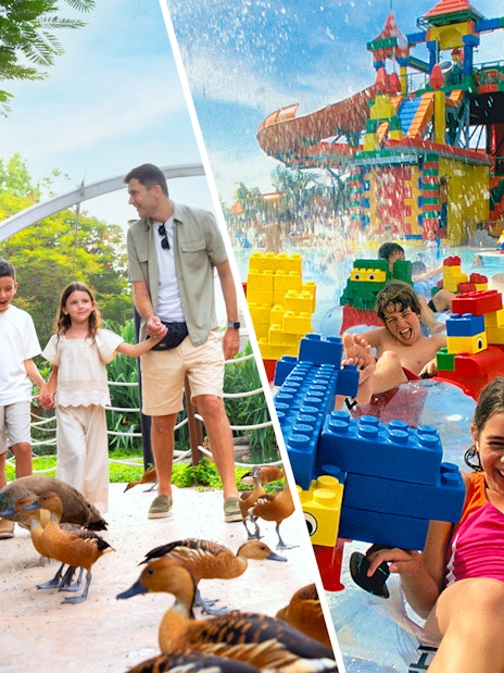 Dubai Safari Park Explorer Safari + LEGOLAND® Water Park Tickets