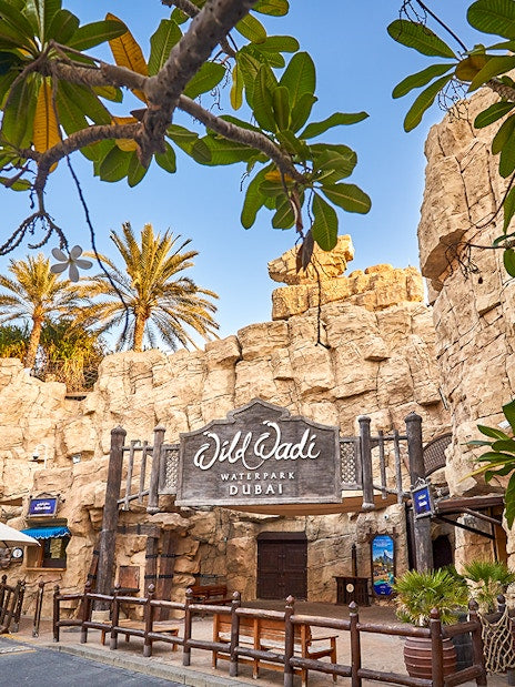 Wild Wadi Water Park General Admission Ticket