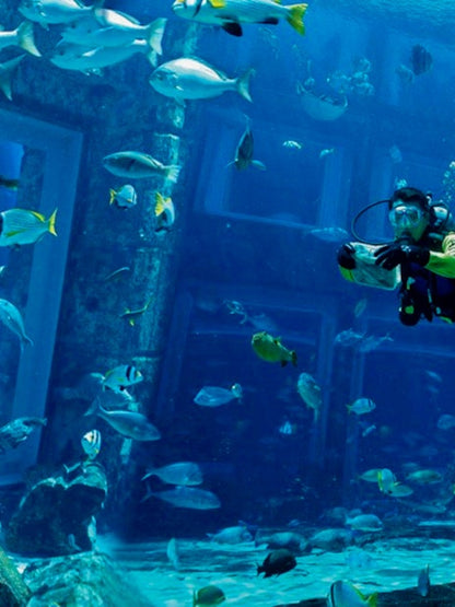 Scuba Dive at Atlantis Aquaventure