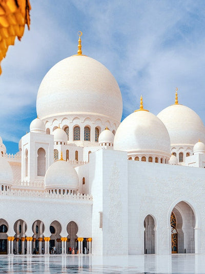 Abu Dhabi Sightseeing Sharing Tour + Ferrari World Ticket