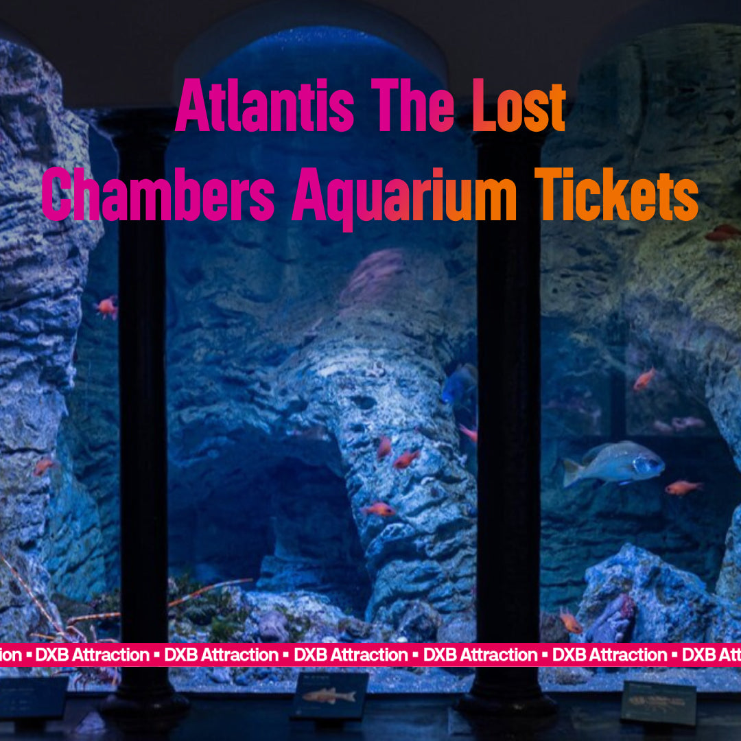 Atlantis The Lost Chambers Aquarium Tickets