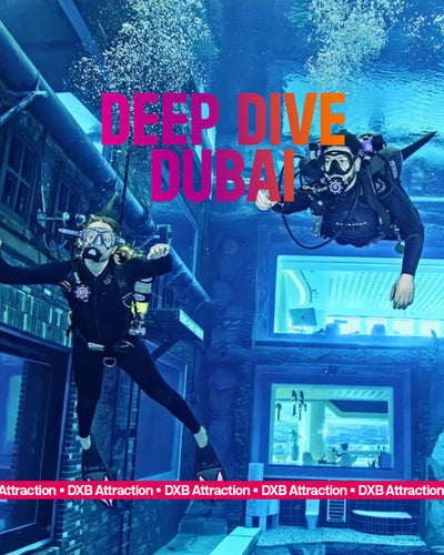 Deep Dive Dubai - Discover Snorkeling