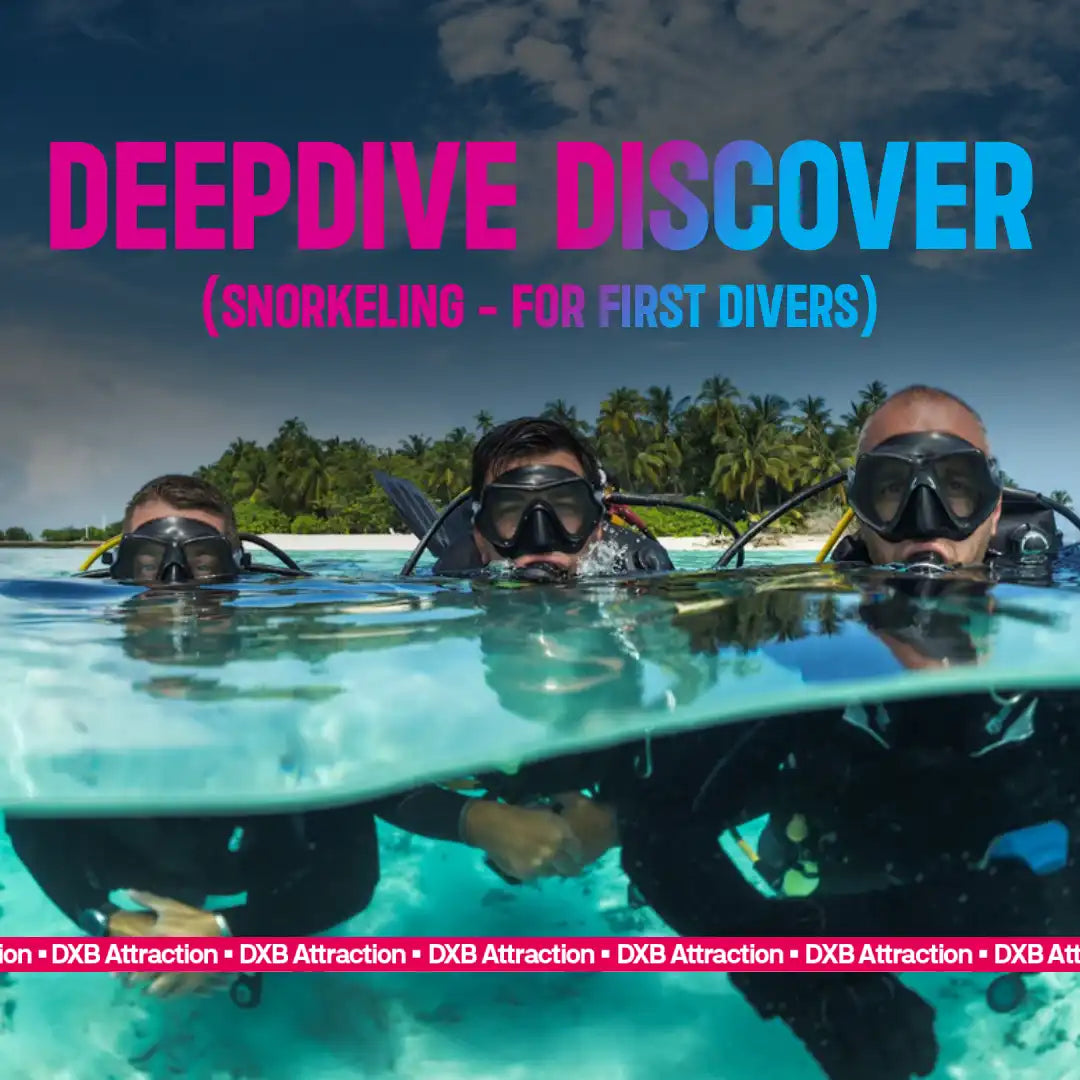 Deepdive Discover Snorkeling - For First Divers