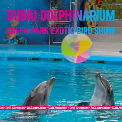Dubai Dolphinarium Tickets: Creek Park Exotic Bird Show