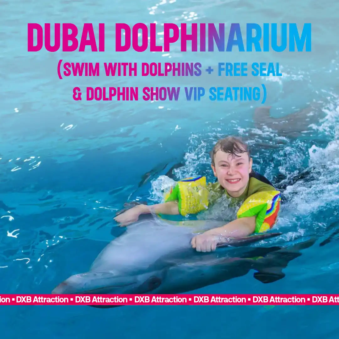 Dubai Dolphinarium Tickets: Swim With Dolphins + Free Seal & Dolphin Show VIP Seating