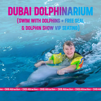 Dubai Dolphinarium Tickets: Swim With Dolphins + Free Seal & Dolphin Show VIP Seating