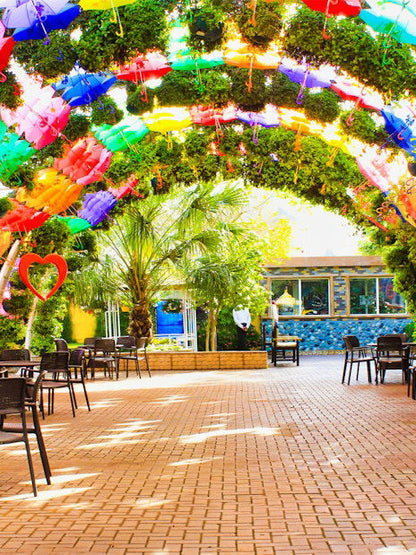 Dubai Butterfly Garden Skip-the-Line Tickets - DXB Attractions