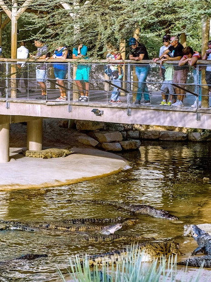 Dubai Crocodile Park Tickets - DXB Attractions