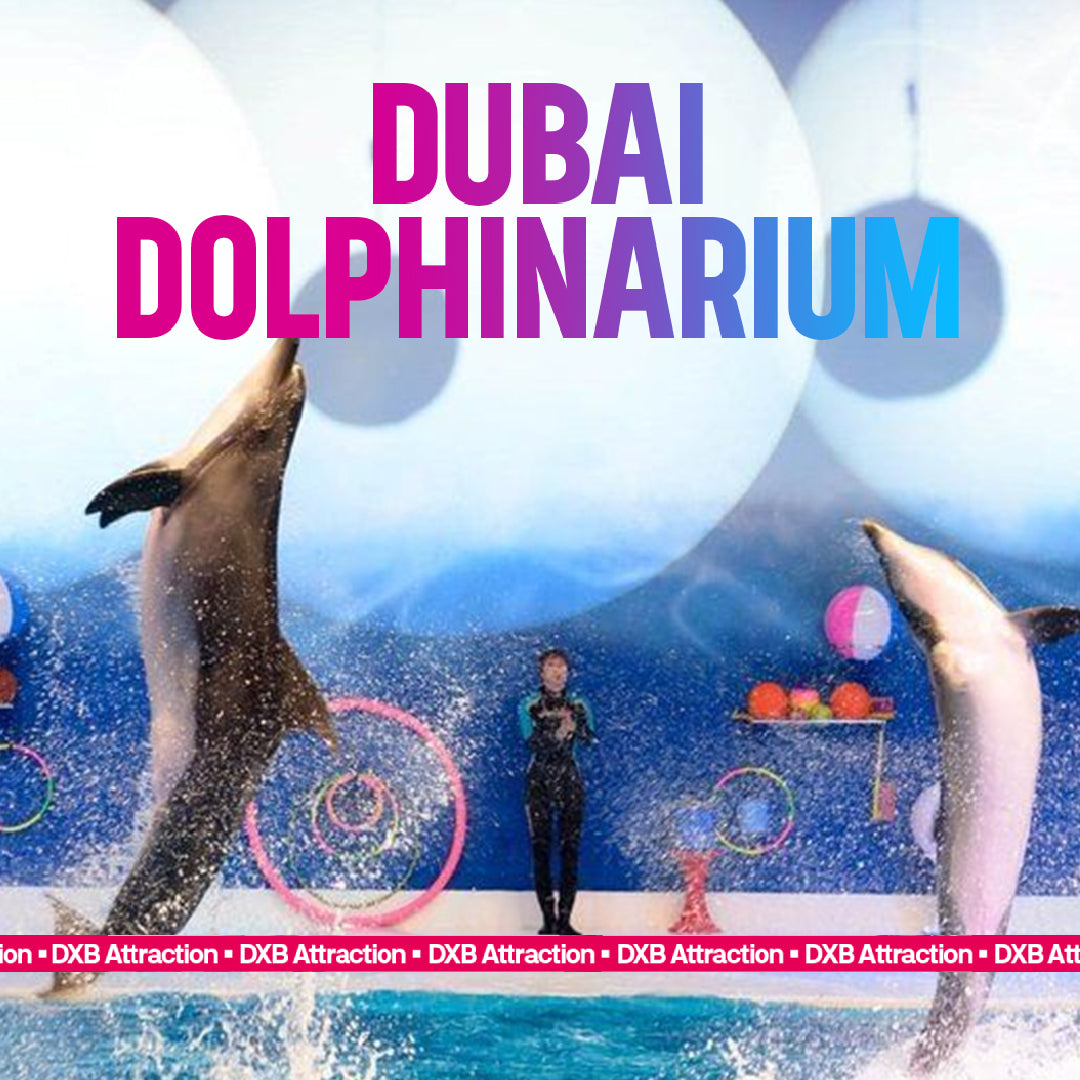 Dubai Dolphinarium Tickets: Dolphin & Seal Show