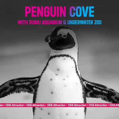 Dubai Aquarium & Underwater Zoo with Penguin Cove Tickets