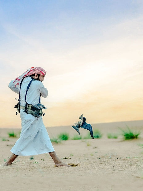 Luxury Heritage Evening Desert Safari