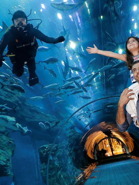 Dubai Frame Tickets + Dubai Aquarium &amp; Underwater Zoo Tickets